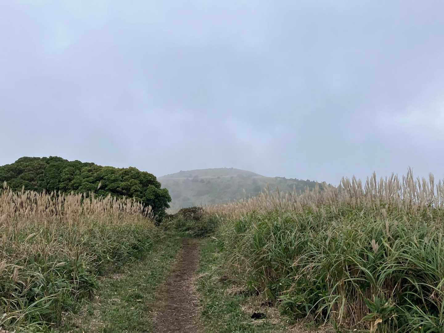 少し霧🌫️が晴れて
合頭山が！
