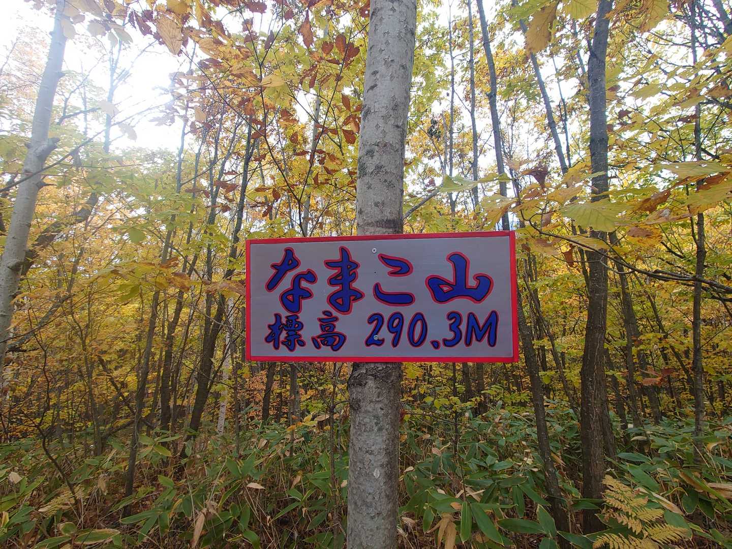 短い（3.5か月？）夏山シーズンでしたがケガもなく終了できました。