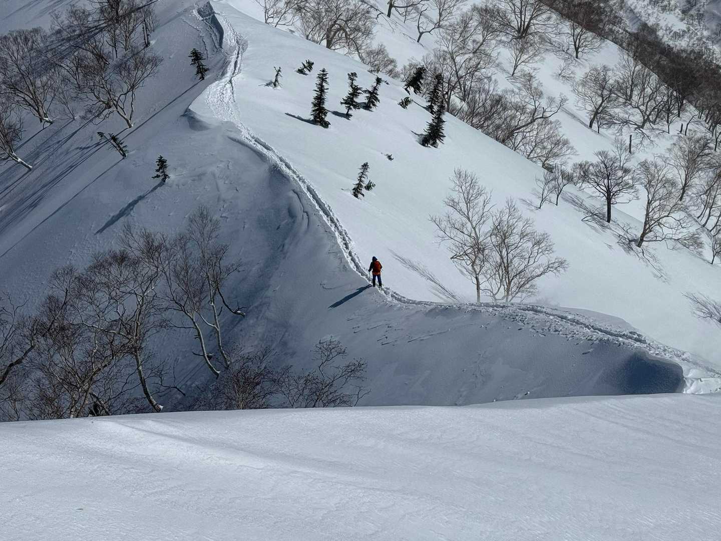 二ノ背髪-小遠見山-五竜登山口-中遠見山-大遠見山-地蔵の 縦走コースの写真
