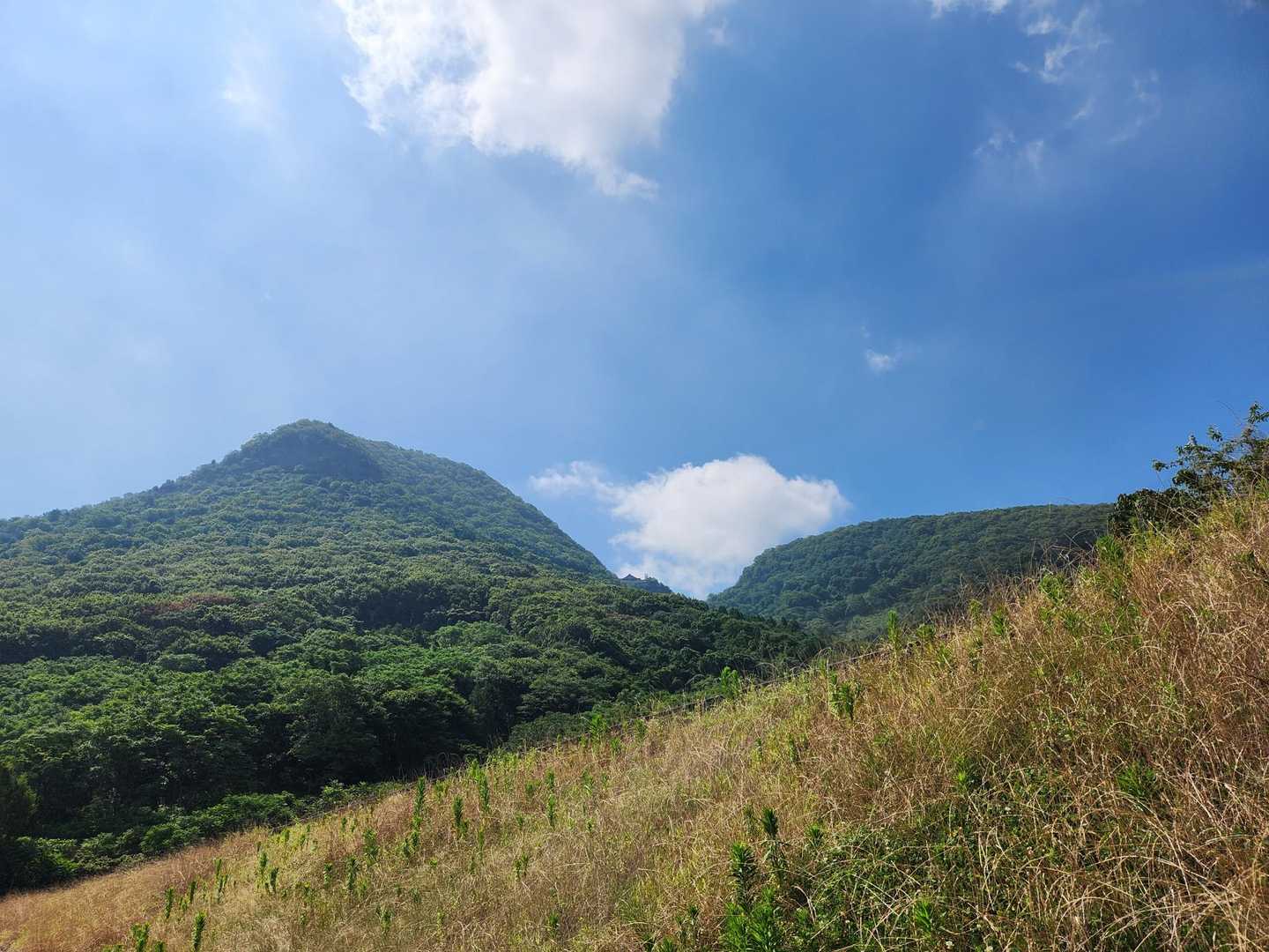 登りはじめからすでに暑い☀️