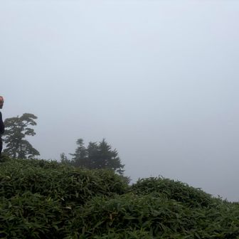 はい、なんも見えません