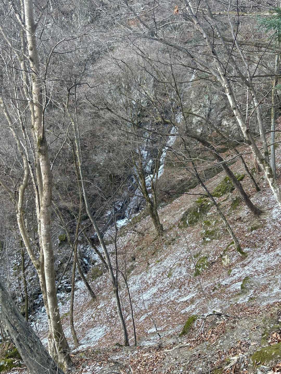 正面から写真撮ろうと途中まで降りましたが、今日はここまで
