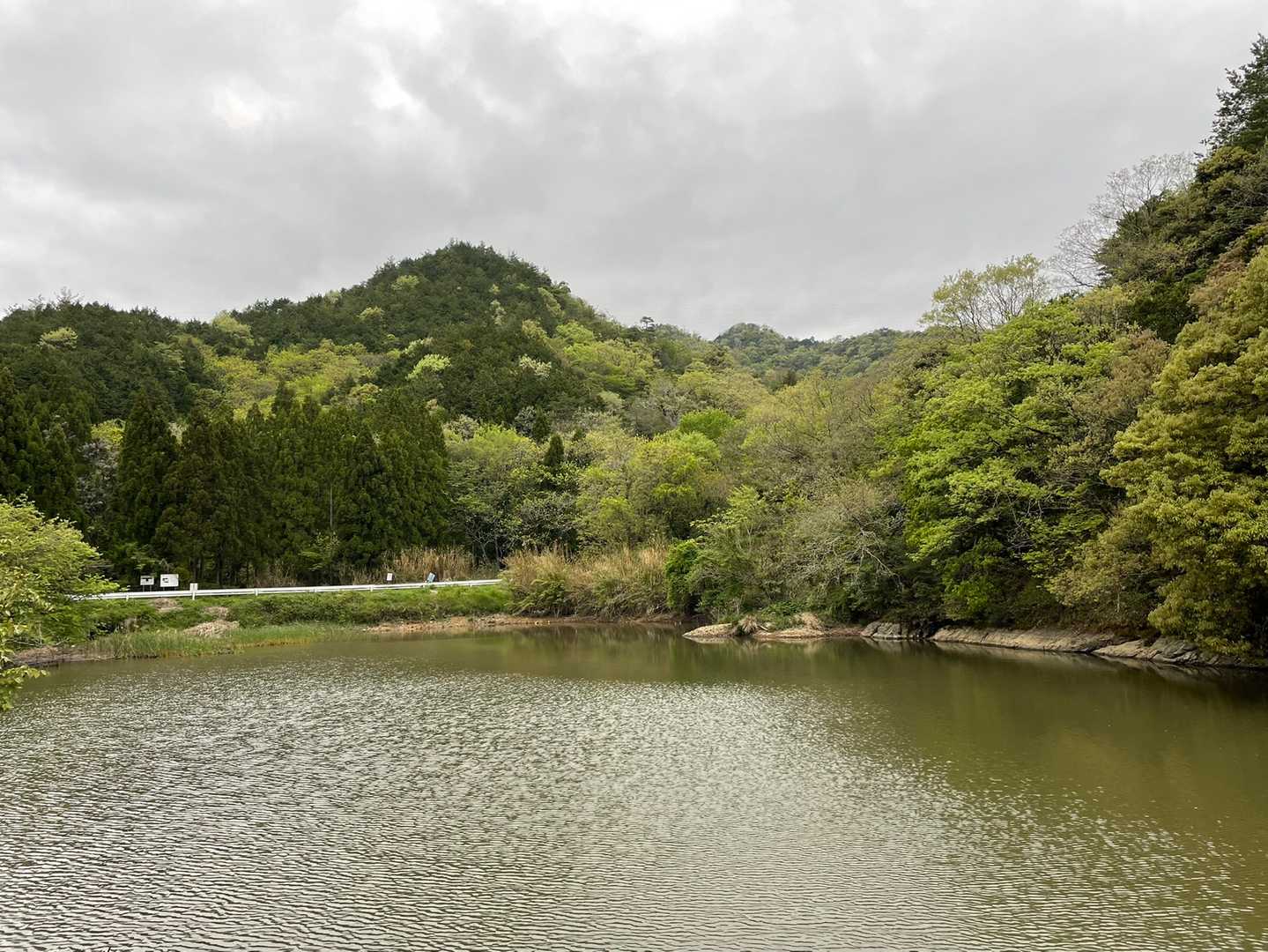 大きな池がありました