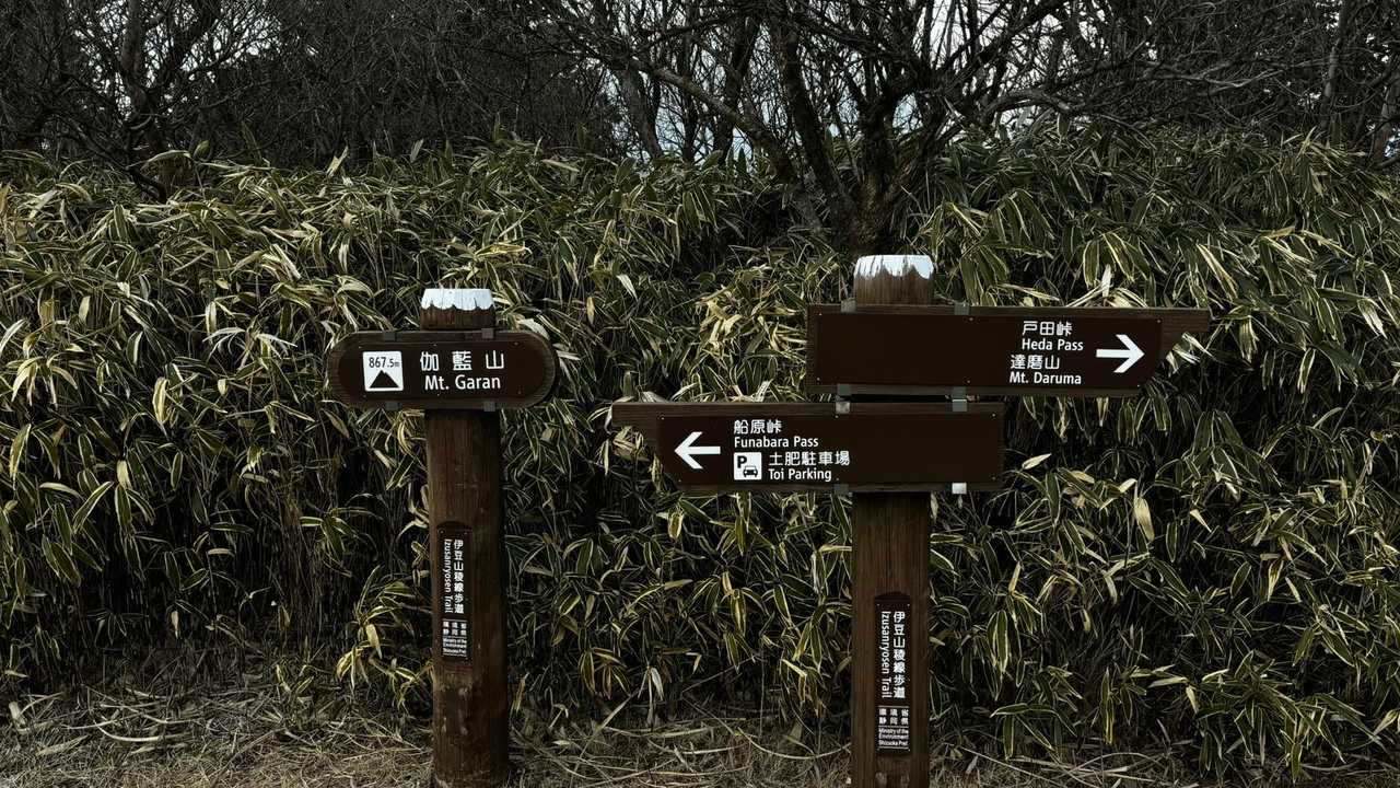 伊豆山陵線トレイル（三蓋山・水呑頭・猫越岳・後藤山・魂の山・棚場山・伽藍山・古稀山・達磨山・小達磨山） の写真 80
