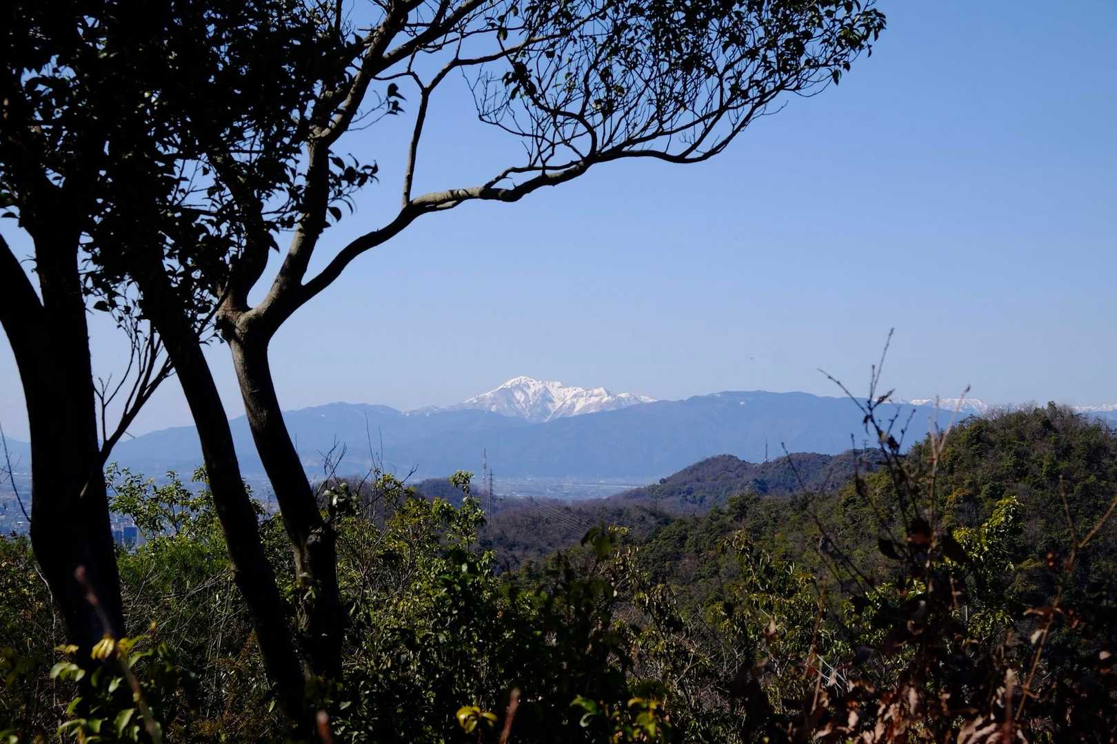 白山大権現参道口-野一色権現山-洞山-鷹巣山 往復コースの写真