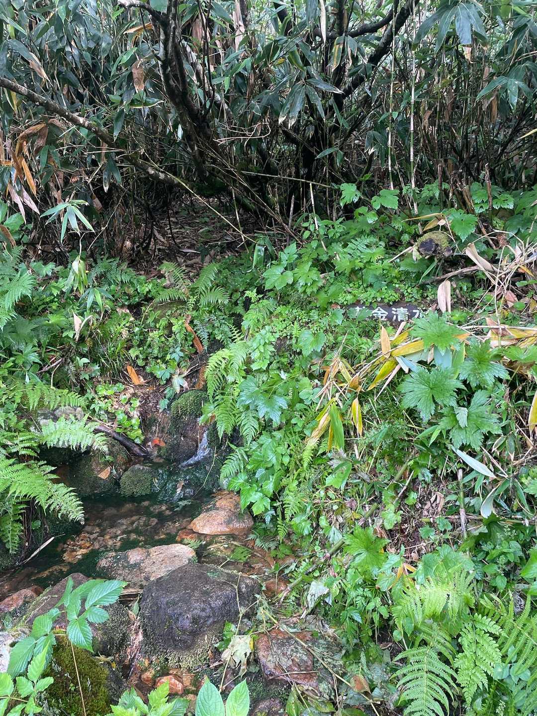 黄金清水で休憩　冷たくて美味しい水