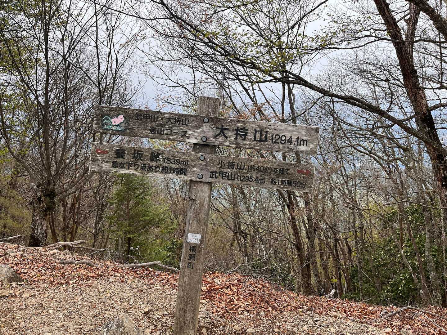 大持山⛰️
