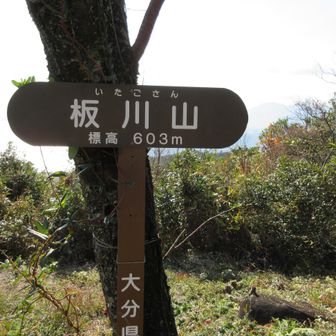 板川山（いたごさん）山頂