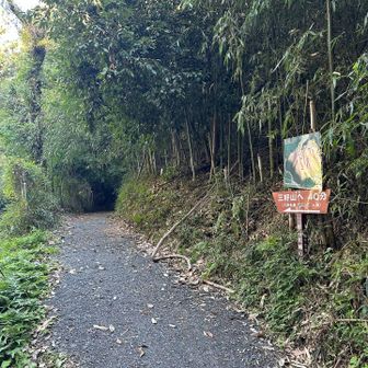 三好山への道が始まる
しばらく舗装された道が続く
