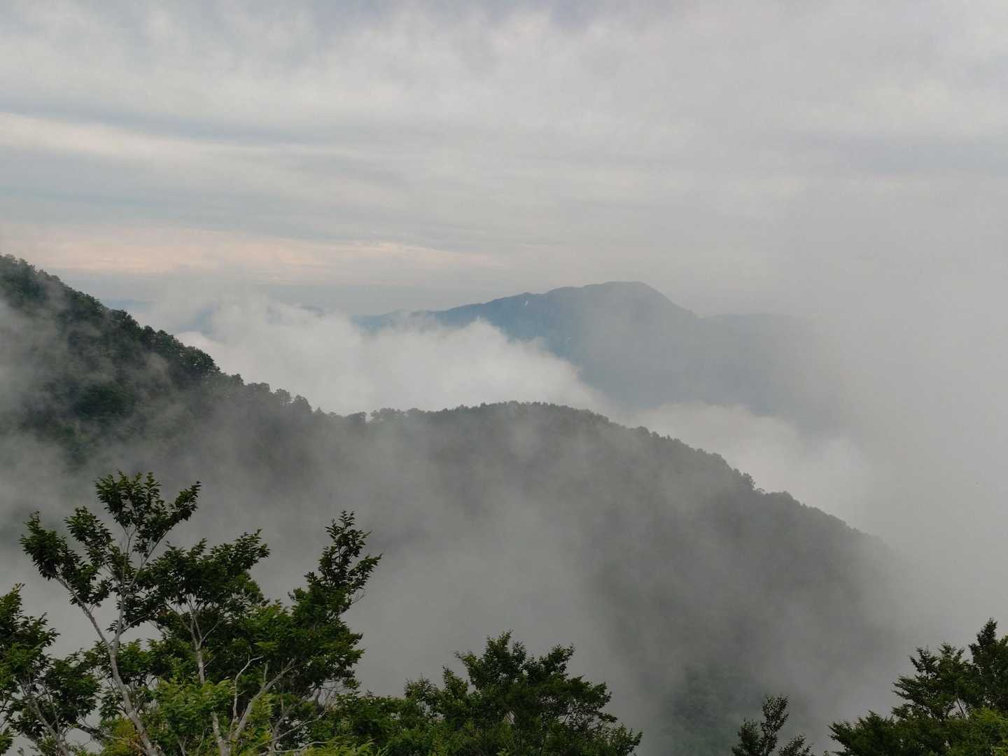 向こうに荒島岳