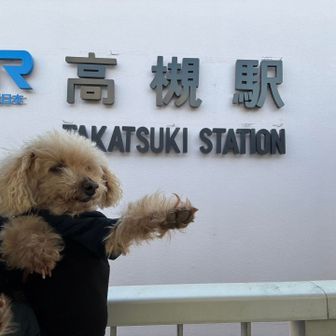 無事、高槻駅に到着〜🙏

ありがとうございました😊