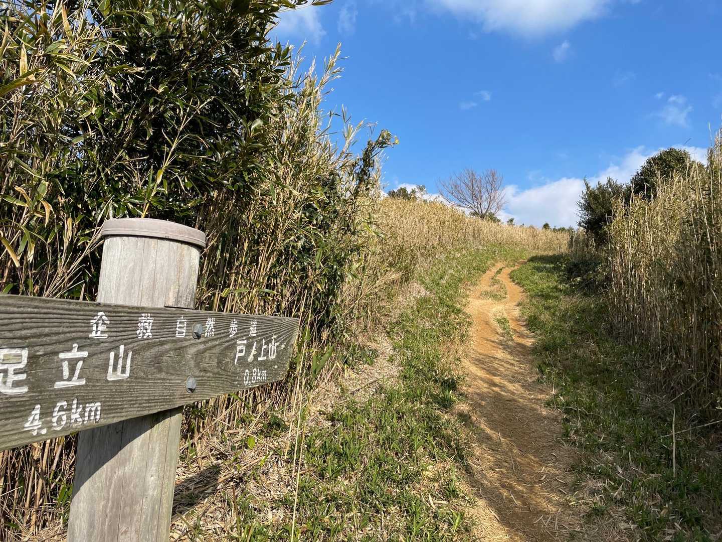大台ヶ原-戸ノ上山 往復コースの写真