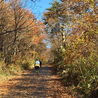 林道をサイクリストのカップルが追い抜いていきました。引き返すことがなかったので、多分黒河峠を越えられたのでしょう。