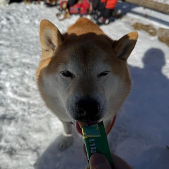 チュールでエネルギー補給して帰りましょ♪
楽しかったね😊