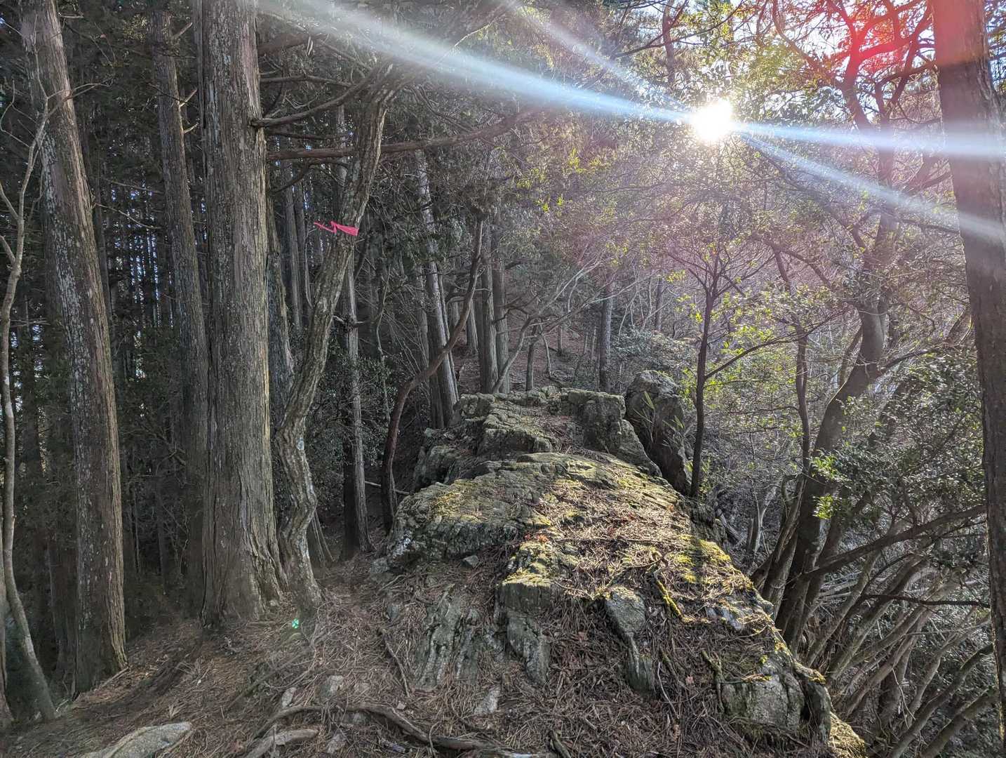 日差しが気持ちいい🌞