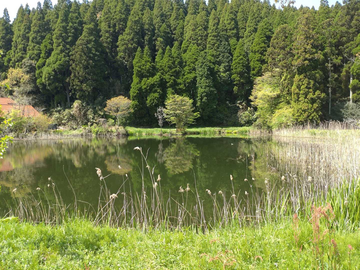 池を拝む
