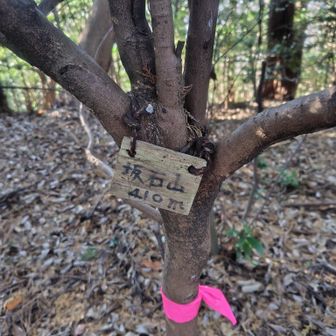 再び坂石山。1日に2回もこのマイナーピークに寄るなんて😂違う標識を見つけるという新たな発見。

ネックウォーマーは見つからなかった😢ゴミになってしまいます。