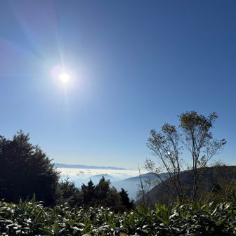 雲海よ