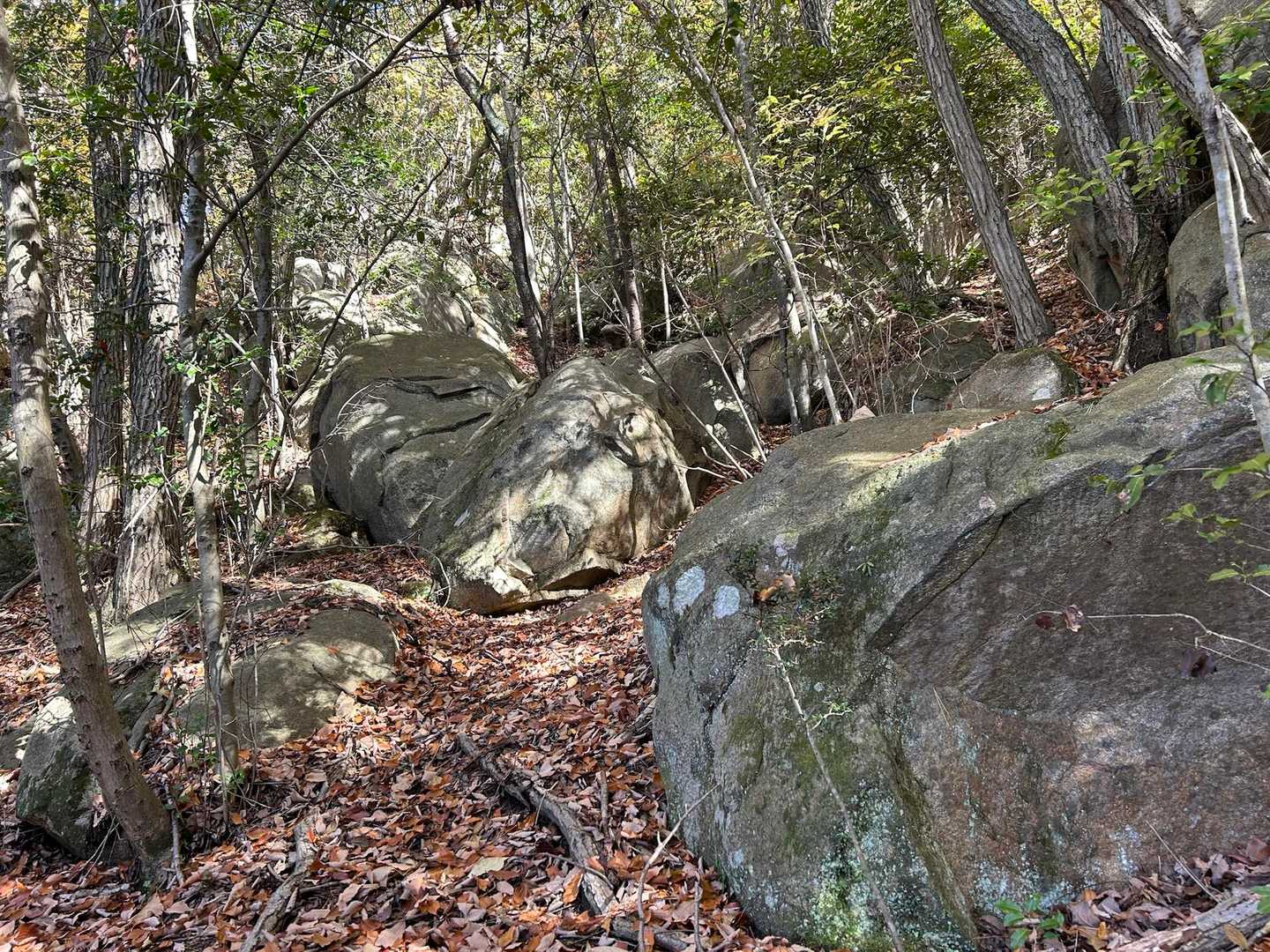 大国見山はピラミッドの形をしていると言われますが、ピラミッドなんじゃない？