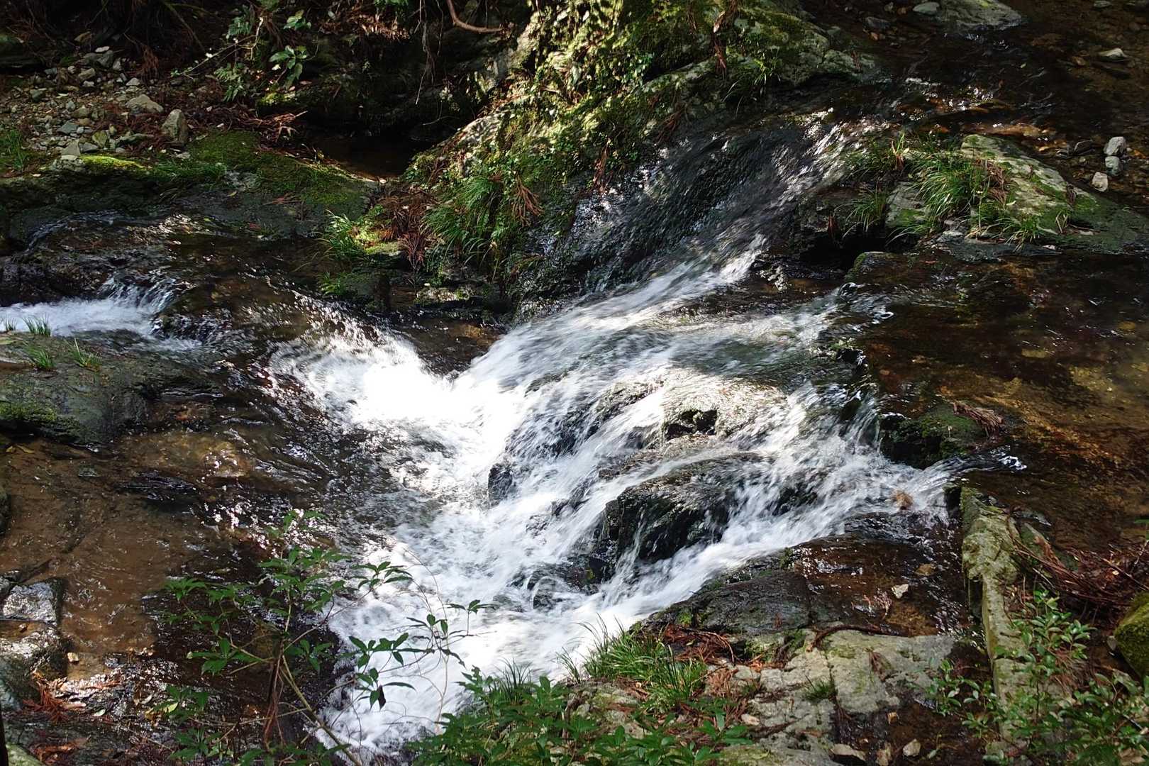 このルートは沢を見ながら進めるのも、良いですね⛰️
