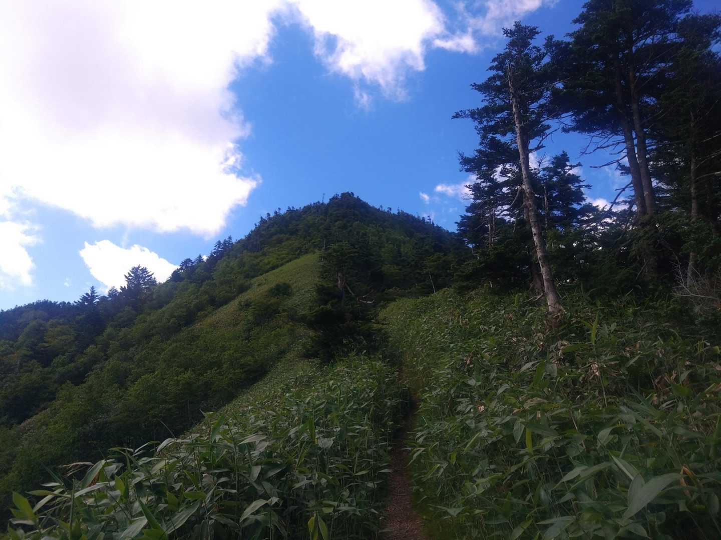 次に向かう土鍋山✨
んん…土鍋っぽいのかな…？🤔