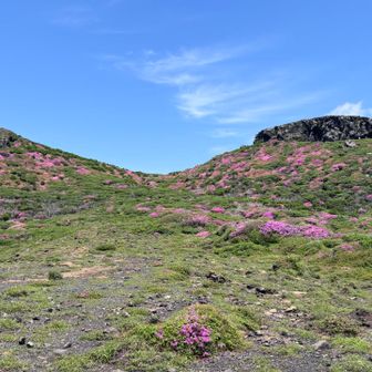 来れます様に✨