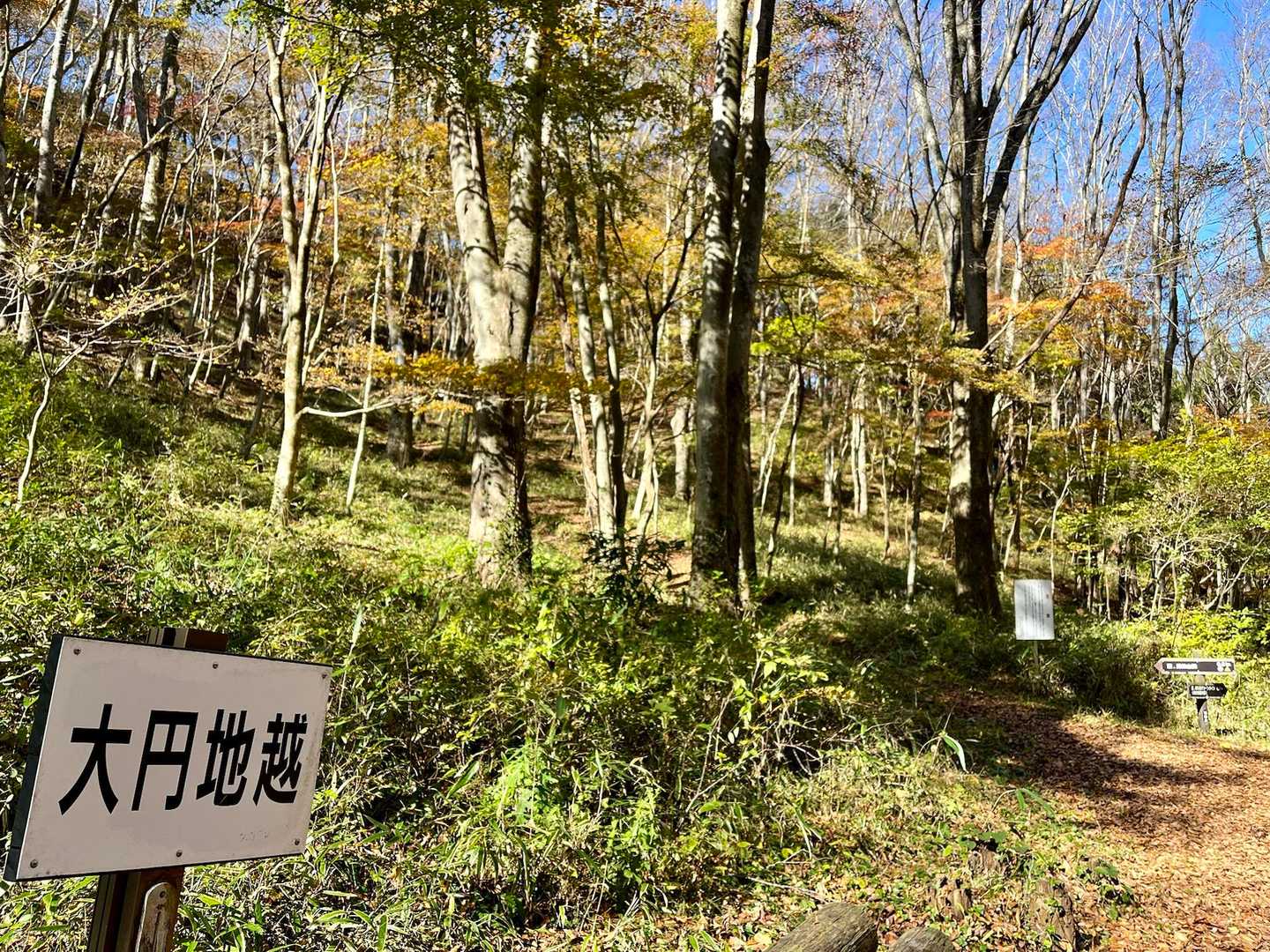 大円地越に到着🙌
ここのもみじは緑だった😅ここのは見頃もうちょい先だね🍁