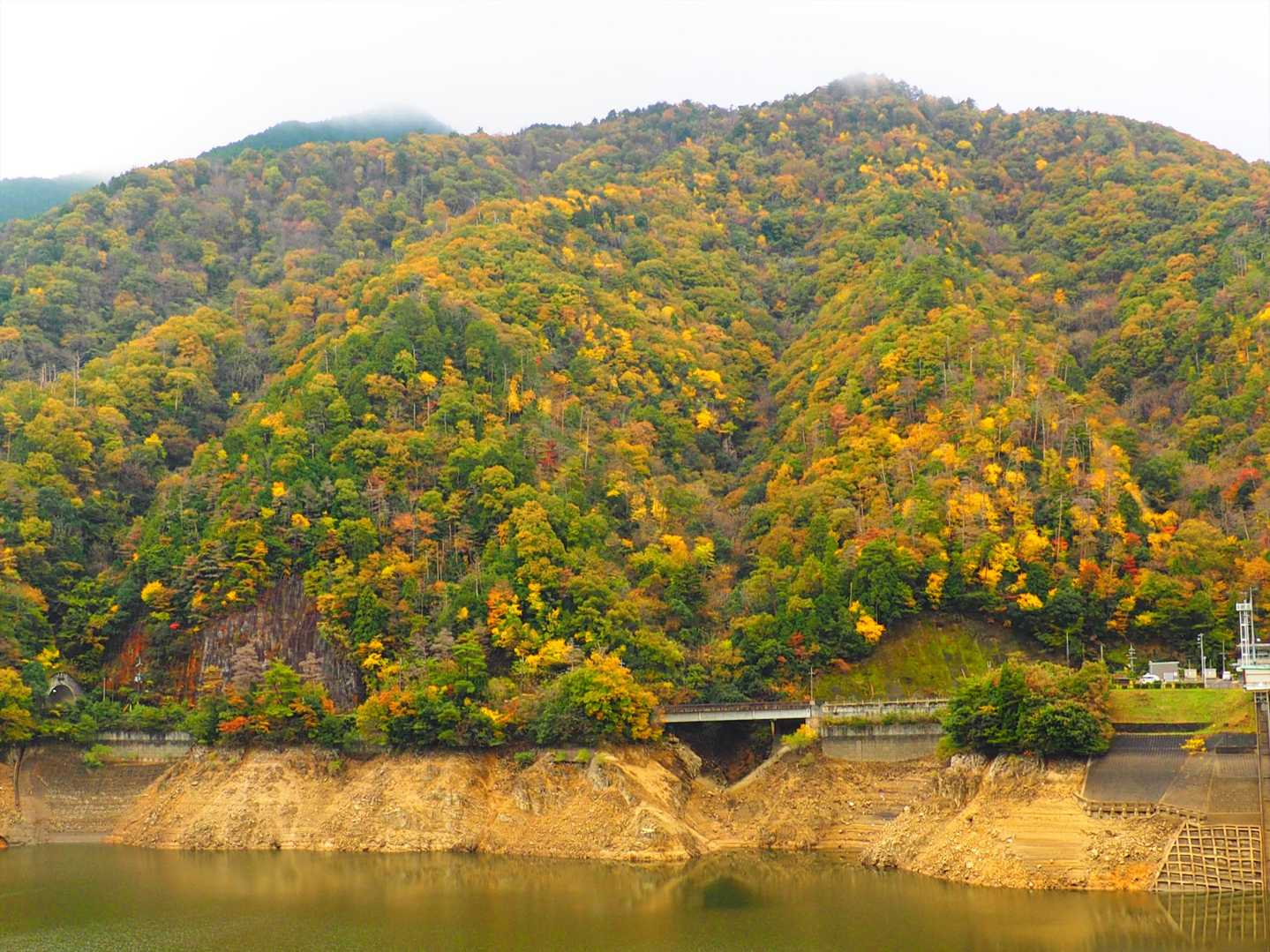園地から：ダム湖対岸の紅葉する山々。左奥は入道ヶ原789m、中央右は左上田山701m、またはスモトリコバ483mかな。