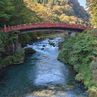 世界遺産神橋。なんと御朱印がある。