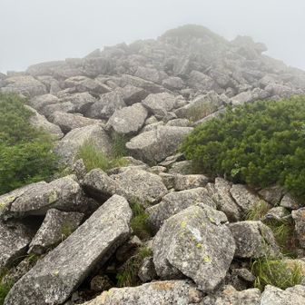 赤木岳への登り