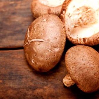 しいたけ