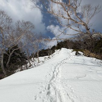 トレースは有難いが、私が辿るコースとは明らかに違うルート取り🤔