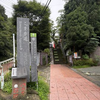 天気悪っ🤣
大山行きたくって、山ビル王国の丹沢に来てしまった笑🪱
この天気、山ビルしかおらんよな😅