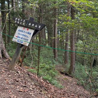 廃道らしい