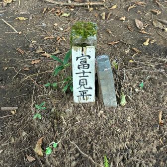 富士見平