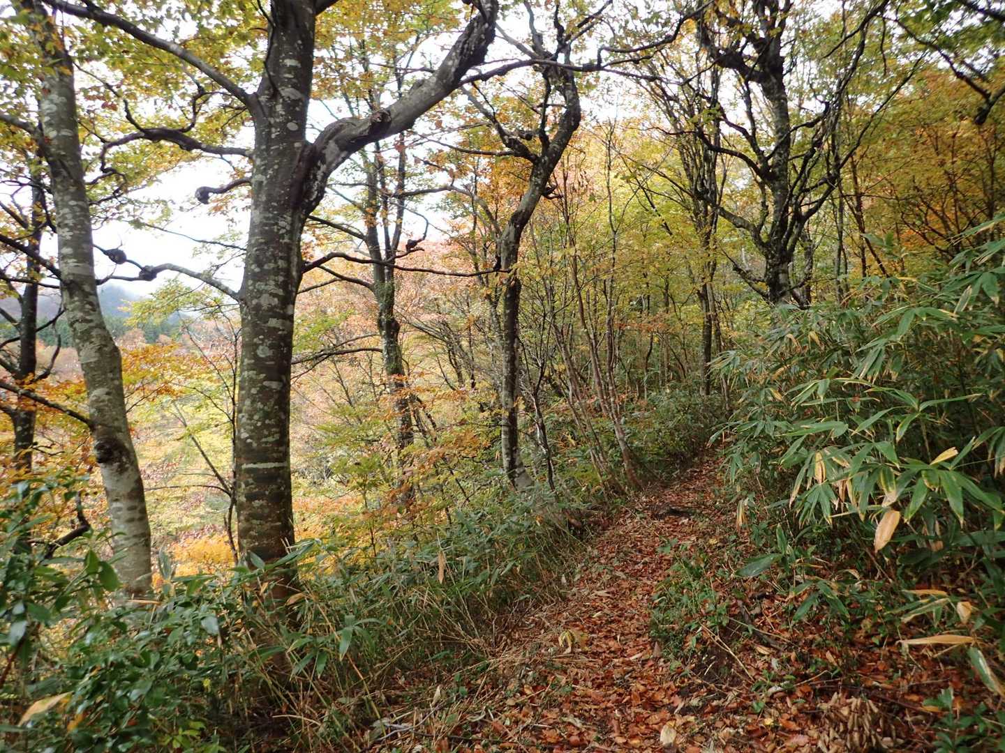 紅葉　いいねぇ～ (^^♪