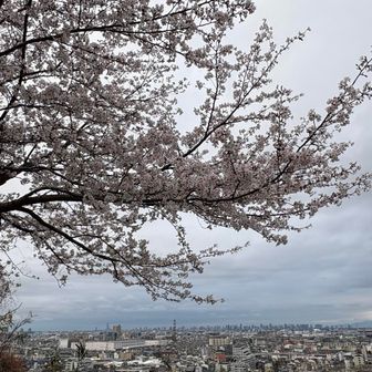 晴れていたら…