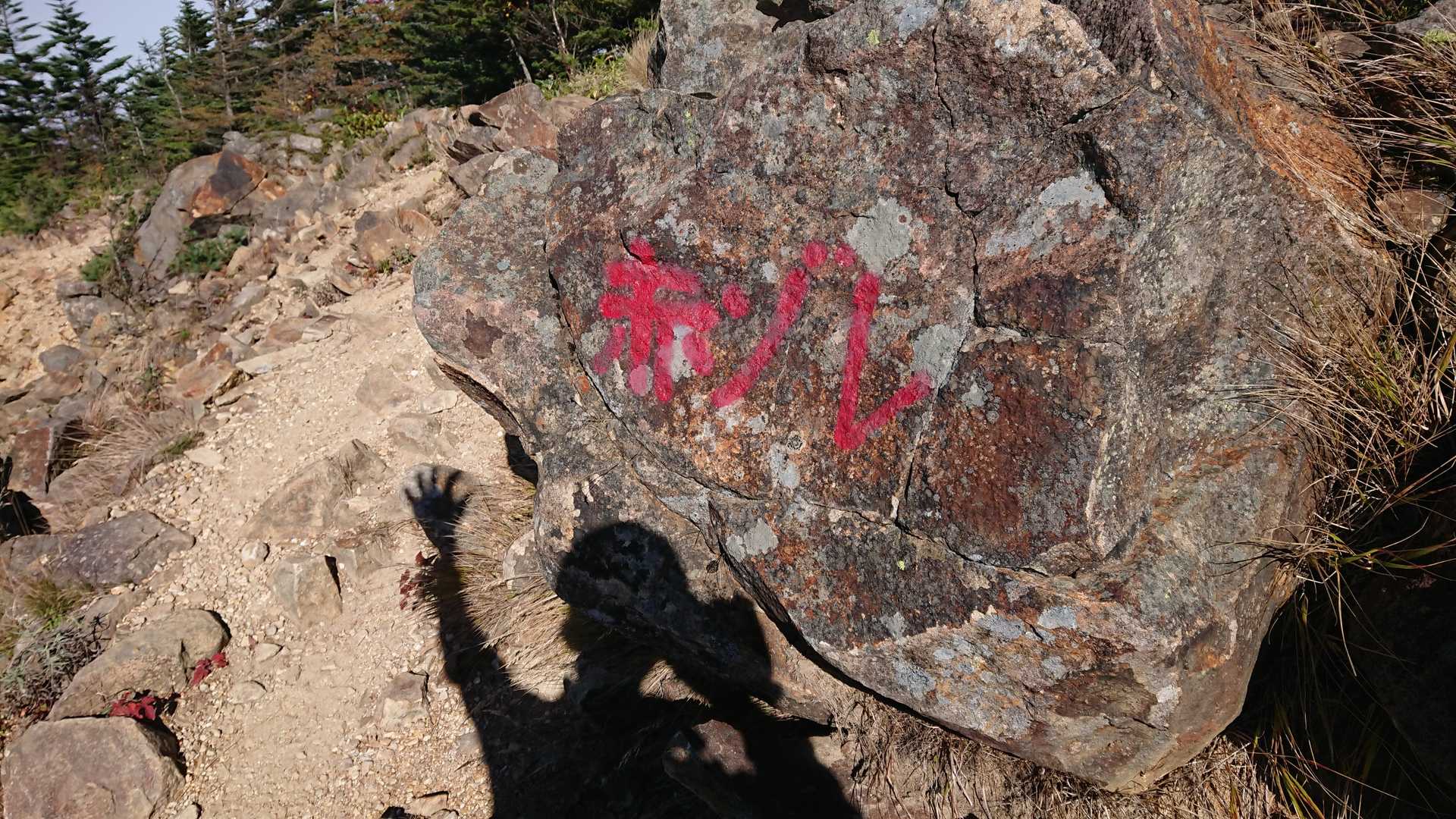 赤ゾレ、って書いてある、何回か来てるのに見落としてました😆