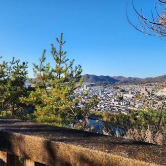 正直あまり景色は見えない