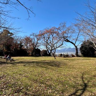 広場の向こう景色良さそう