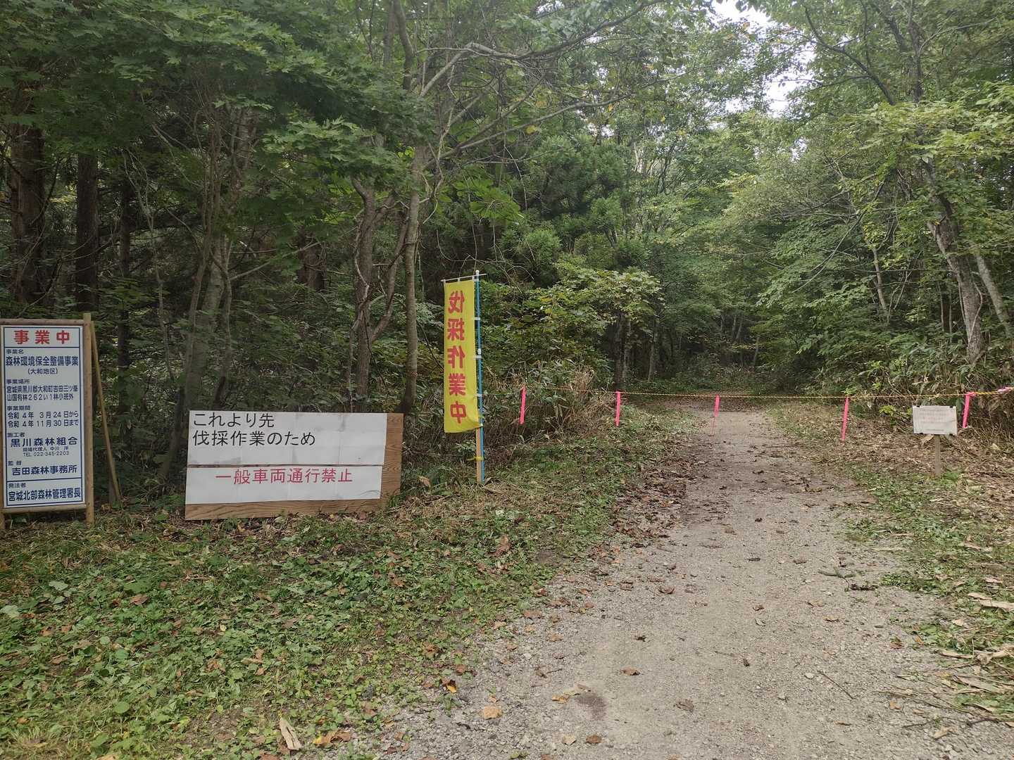 こことおりまーす🏃