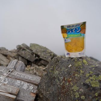 真っ白な山頂でパインを食べる