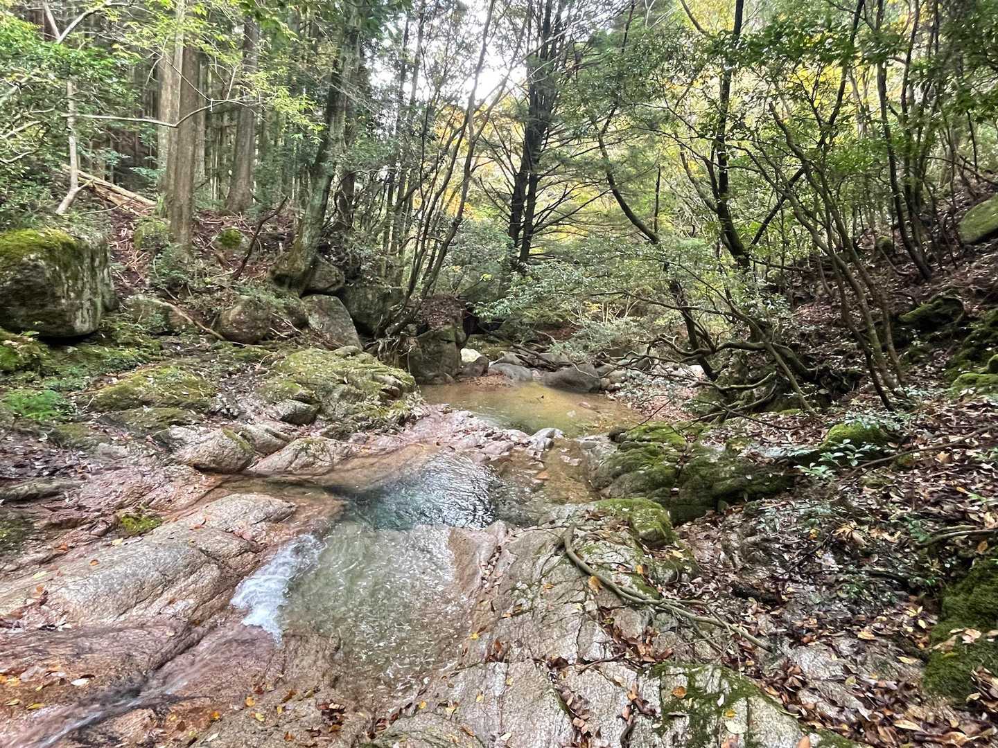 水が綺麗😍