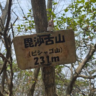 毘沙古山～⛰️　近くの警察署から　行方不明者の情報提供依頼の放送が聞こえてきた　76歳女性？大変じゃ😖💦