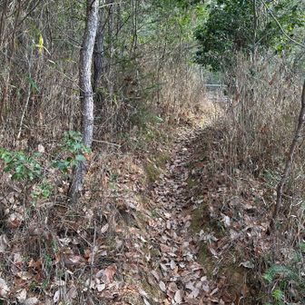 最初はこんな感じです。