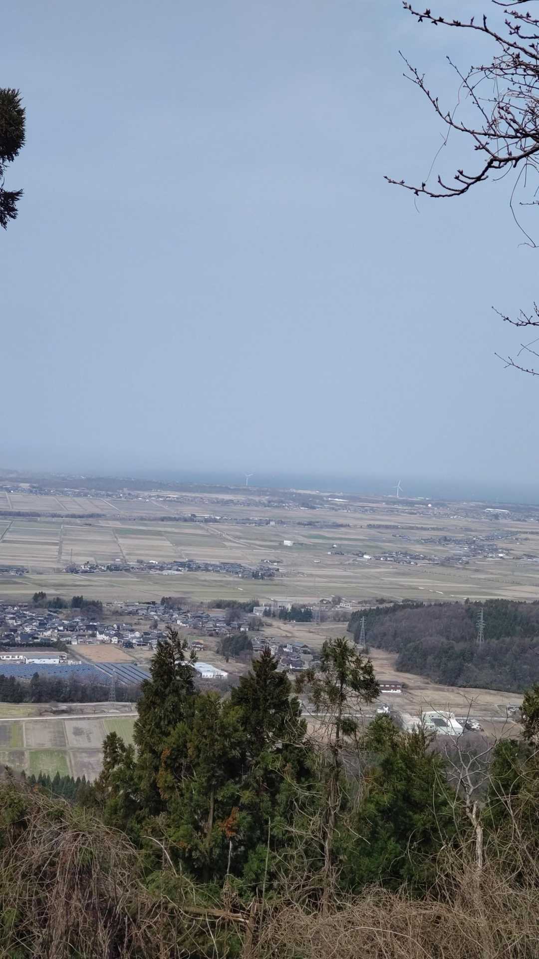 桜公園登山口-願文山-大峰山 往復コースの写真