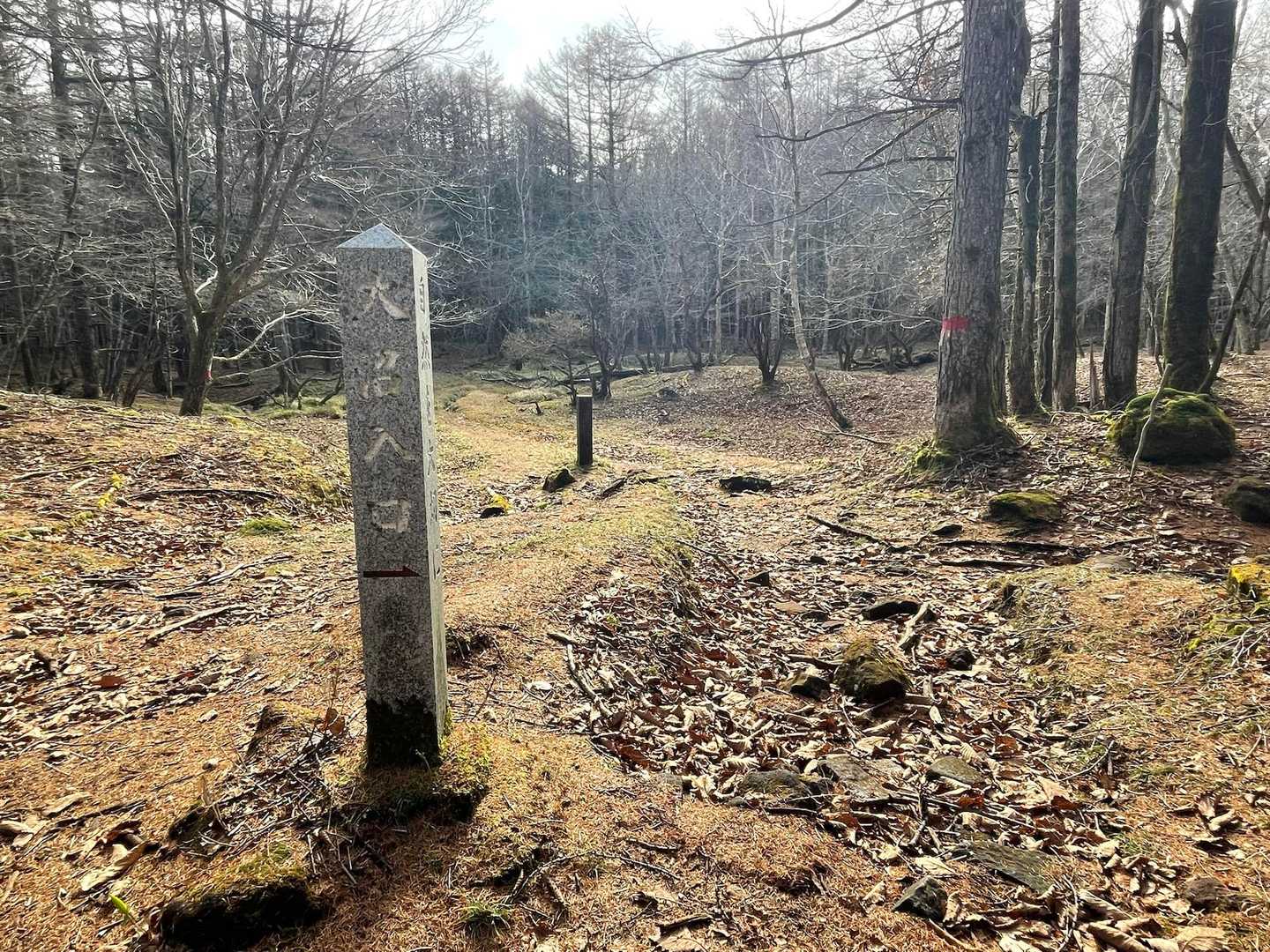 沼があるらしいので、寄ってみます〜