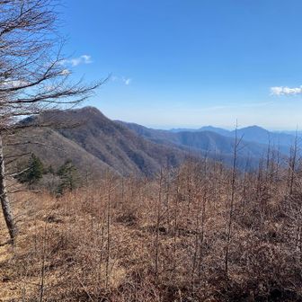 これから縦走する石尾尾根。左の高いピークは恐らく鷹ノ巣山。