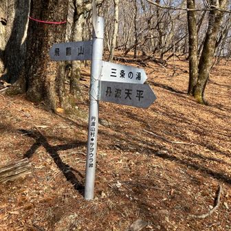 サヲウラ峠までがなかなかの歯応え😊