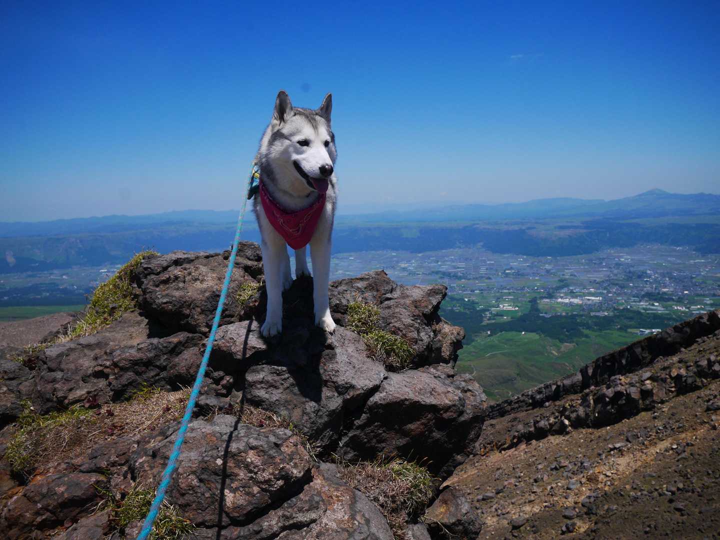 仙酔峡登山口-中岳-高岳 往復コースの写真